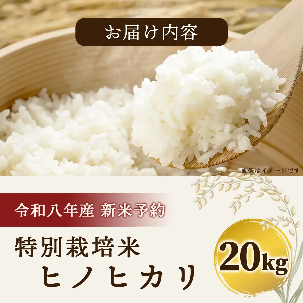 【令和8年産 新米予約】特別栽培米「ヒノヒカリ」20kg 114-0603