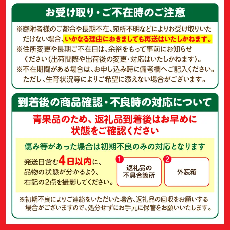 フルーツ 定期便 フルーツ [旬のくだもの 果物 全8回]