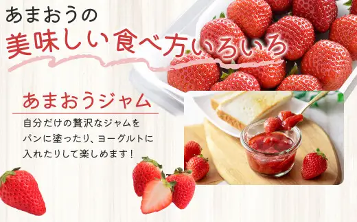 福岡県産 博多あまおう 約1.12kg（約280g×4パック入り） いちご 苺 【2027年1月下旬～3月下旬発送予定】