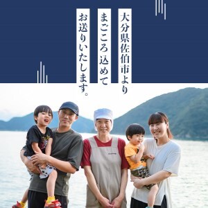四代続く秘伝のたれ みりん干しセット (合計5種・48枚以上×隔月6回) 定期便 干物 魚 鯵 鯖 みりん かます 醤油 食べ比べ おかず 国産 詰め合わせ セット さばみりん あじみりん おつまみ 朝食 大分県 佐伯市 【FT03】【田辺海産】