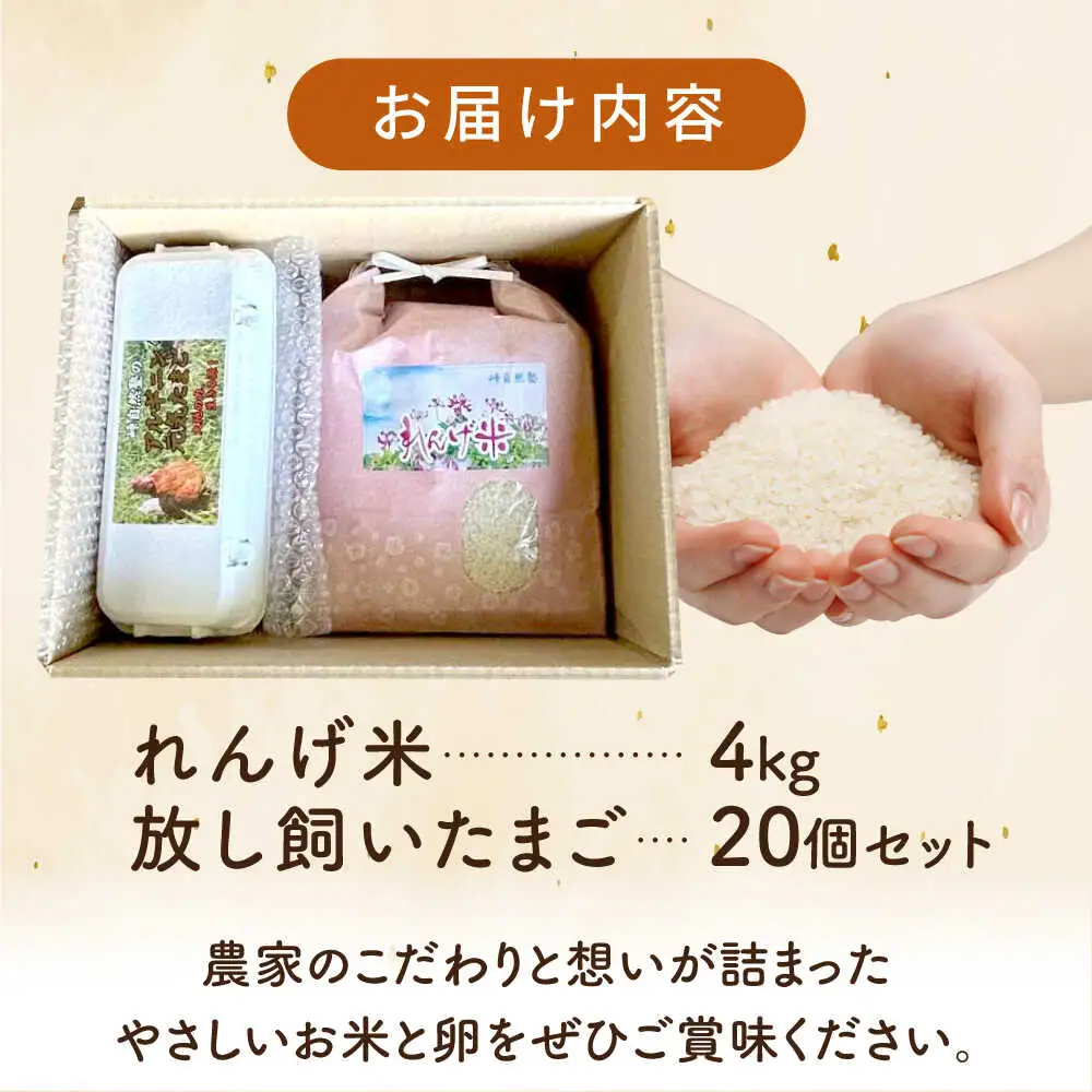 【令和7年度米】4kg・放し飼いたまご20個セット ヒノヒカリれんげ米 元気たまご【浅田峠自然塾】[EA19]