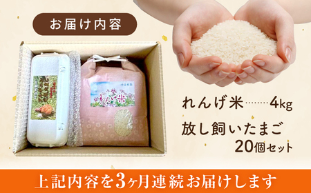 【全3回定期便】令和7年度米4kg・放し飼いたまご20個セット ヒノヒカリれんげ米 元気たまご【浅田峠自然塾】[EA20]