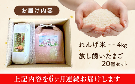 【全6回定期便】令和7年度米4kg・放し飼いたまご20個セット ヒノヒカリれんげ米 元気たまご【浅田峠自然塾】[EA21]