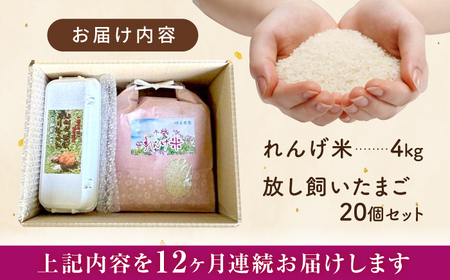 【全12回定期便】令和7年度米4kg・放し飼いたまご20個セット ヒノヒカリれんげ米 元気たまご【浅田峠自然塾】[EA22]