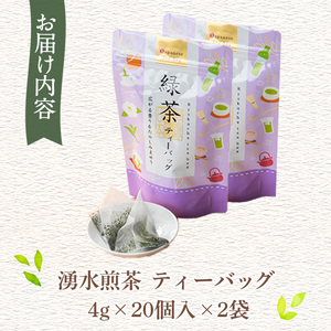 鹿児島県湧水町産！栽培期間中農薬・化学肥料不使用！湧水煎茶ティーバッグ 計40個(20個×2袋) 国産 九州産 鹿児島県産 茶葉 お茶 茶 日本茶 緑茶 煎茶 ティーバッグ ギフト 贈答 プレゼント 贈り物 【神田茶園】_y519