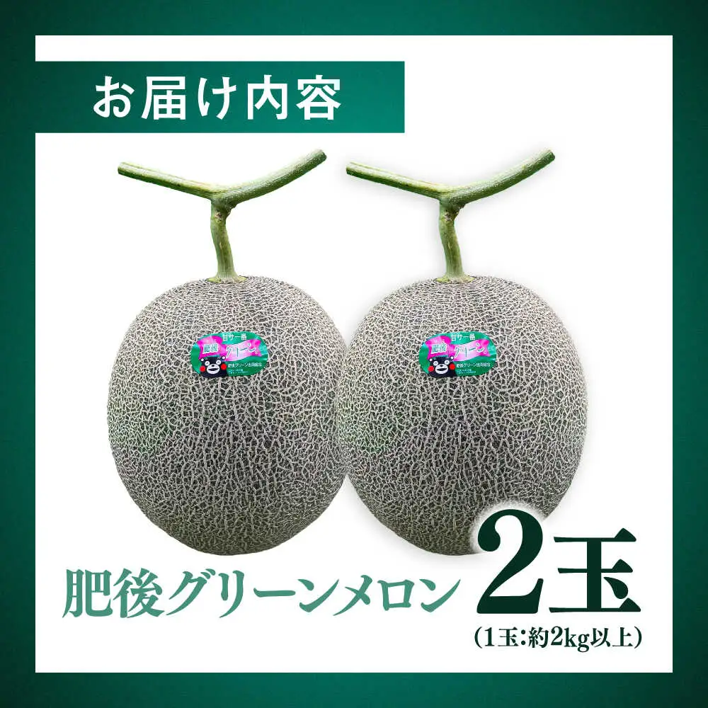 【先行予約】  山鹿の恵み! 匠の育てた　肥後グリーン メロン 約4kg以上（約2kg以上×2玉）【きもと農園】[ZFQ001]