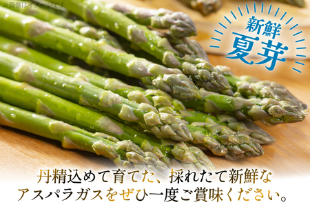 アスパラ アスパラガス 夏芽アスパラガス 2kg L サイズ以上