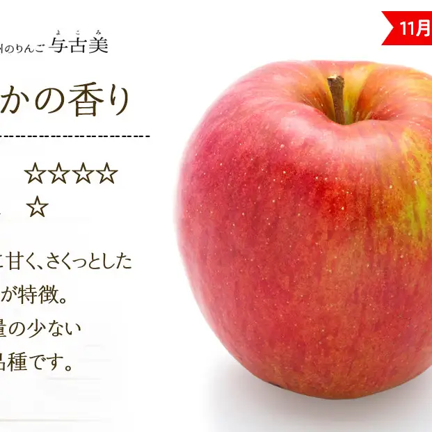 訳あり りんご あいかの香り 約3kg セット 2026年 令和8年度発送分 リンゴ 林檎 長野 フルーツ 果物 信州産 長野県産 特産 産地直送 家庭用 おすすめ