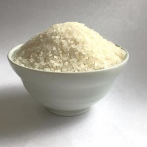 令和7年産 （数量限定）こしひかり 能登の心米（精米20kg/10kg×2袋） | 米
