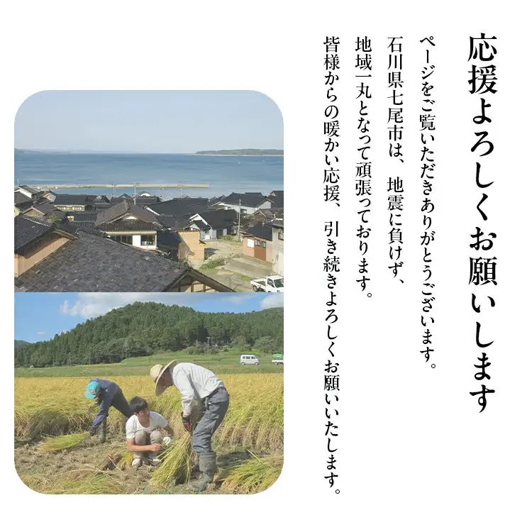 令和7年産 等伯米こしひかり10kg(5kg×2袋) | 米 ※2026年6月～発送