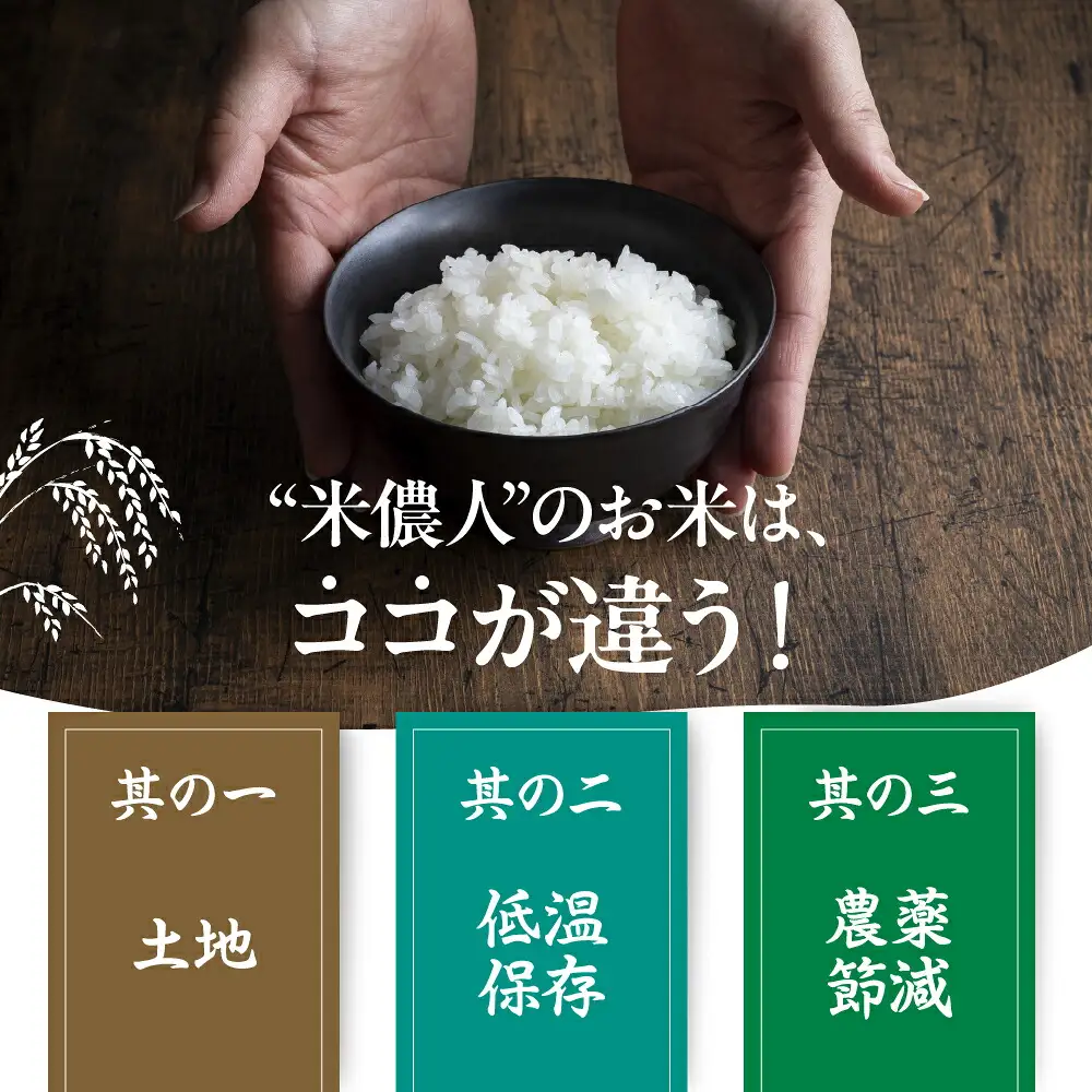 令和8年産 白銀の穂 10kg お米 お米