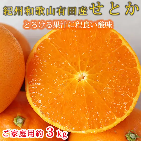 【全4回】紀州和歌山産旬のご家庭用柑橘セット(みかん・不知火・せとか・清見)【tkb412】