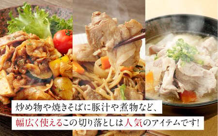 CSR-536 【3ヶ月定期便】鹿児島県産黒豚 大容量小分けパック切り落とし 合計6kg（2kg×3回） 黒豚 黒豚切り落とし 切り落とし 豚肉 ウデ肉 肩肉
