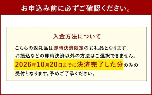 紫苑 2kg ぶどう 葡萄 フルーツ 果物 岡山県 岡山県産 2026年 先行予約 【2026年10月上旬-11月下旬発送予定】