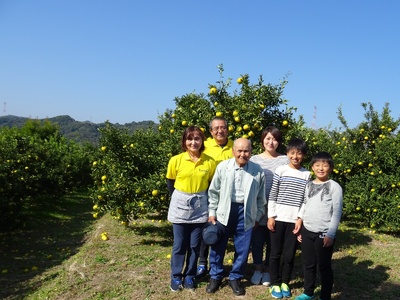 令和8年熊本地震復興支援 【先行予約】 みかん 麗紅 れいこう 約3kg（15～25玉）　【2027年2月中旬-2027年4月中旬発送】