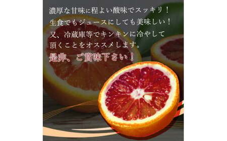希少な柑橘!紀州有田産ブラッドオレンジ約5kg 【ご家庭用】※2027年3月中旬頃?3月下旬頃に順次発送 (お届け日指定不可) 【uot853】