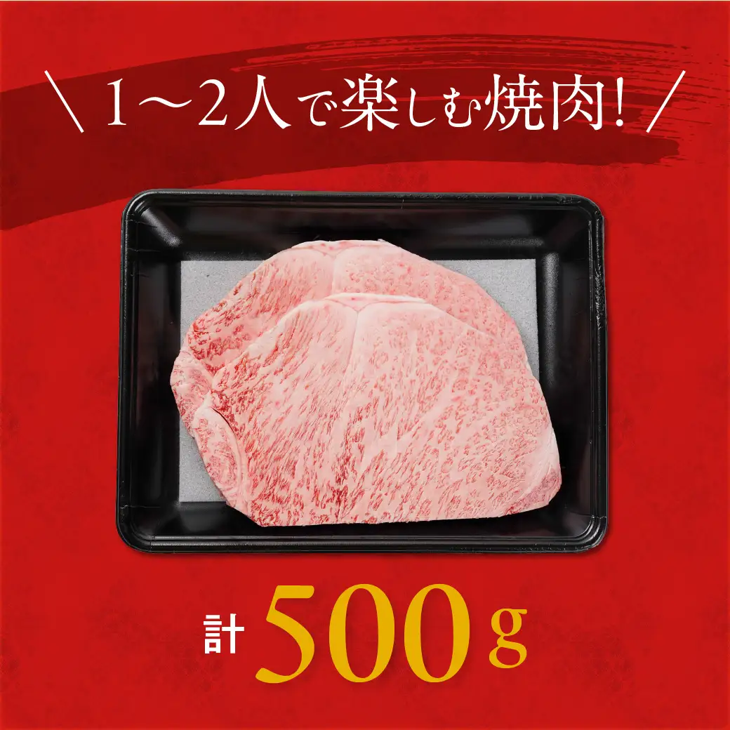 宮崎牛ロースステーキ2枚 計500g〔17-N2-011-500g〕_(都城市) ロースステーキ 500g 宮崎牛 牛肉 宮崎県産 国産 ロース肉 ステーキ肉 高級 とろける ミヤチク