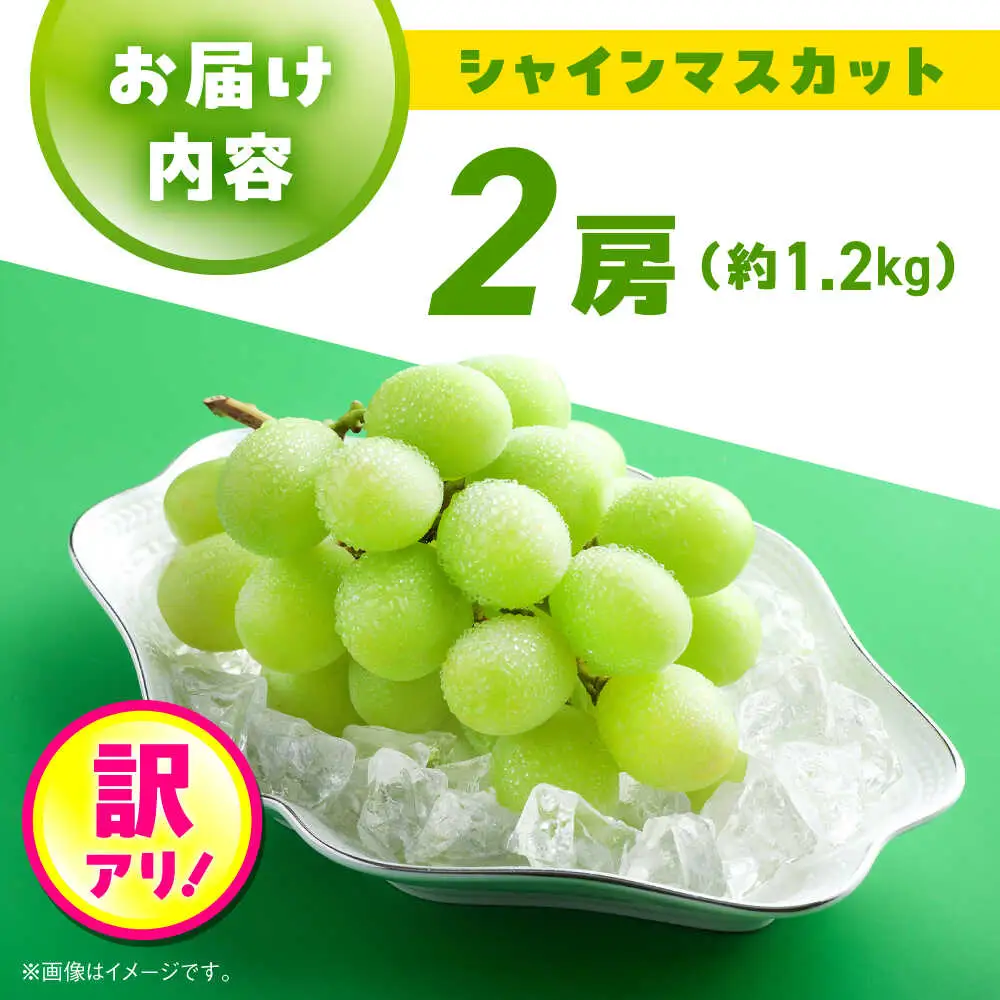 7月より発送先行予約数量限定 訳ありシャインマスカット約1.2kg2房 シャインマスカット規格外 AYCX003