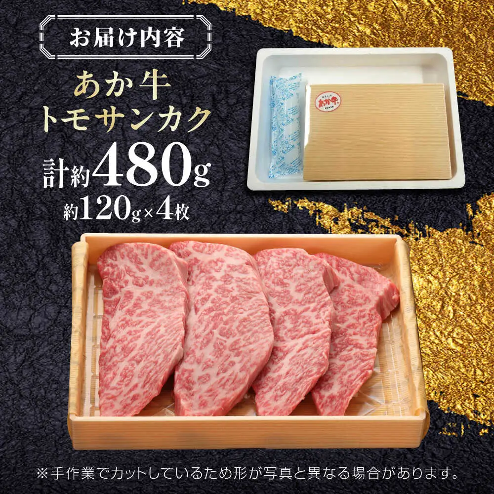 【GI認証】くまもとあか牛トモサンカク 約120g×4枚 和牛 熊本県 トモサンカク [AYCQ013]