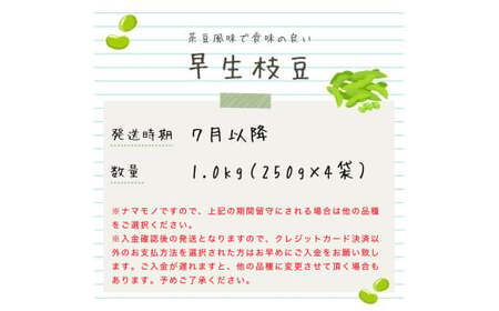早生枝豆 1kg【 数量限定 早生 枝豆 おつな姫 陽惠 新潟県 先行予約 1kg seida018 】