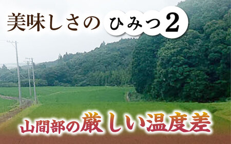 おいしい！亀山・白川産コシヒカリ 5kg 亀山市/せせらぎの里営農組合 お米 コシヒカリ 送料無料[AMAX003]