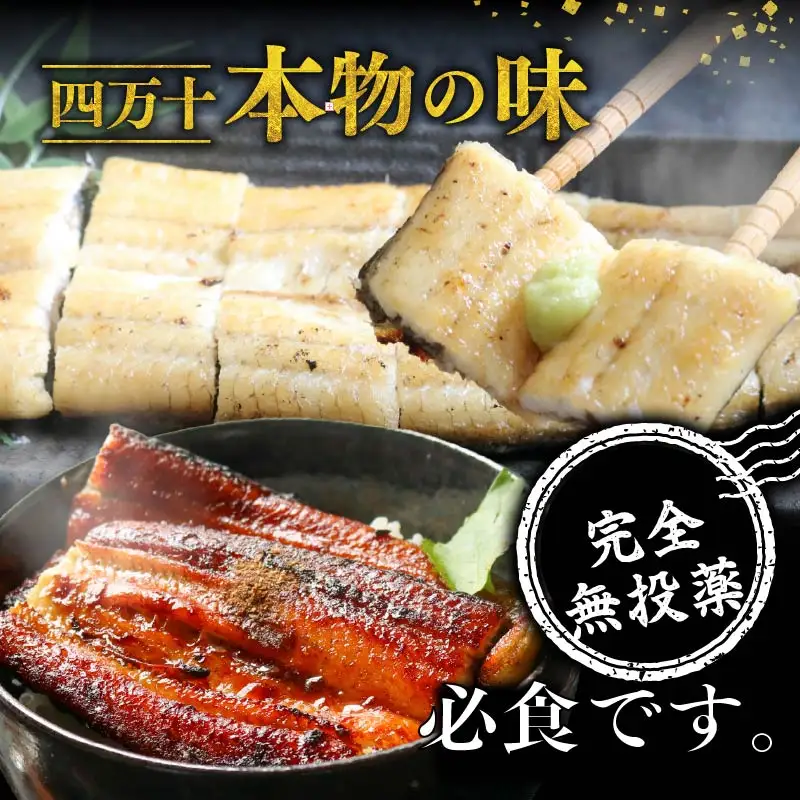 【通常用】極上国産うなぎ四万十桜 白焼き 約140g×2尾 完全無投薬白焼き