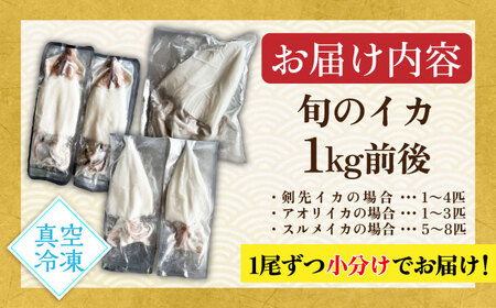 【お中元】【旬のイカ】 イカ 刺身 1kg [JAQ027] イカ刺し
