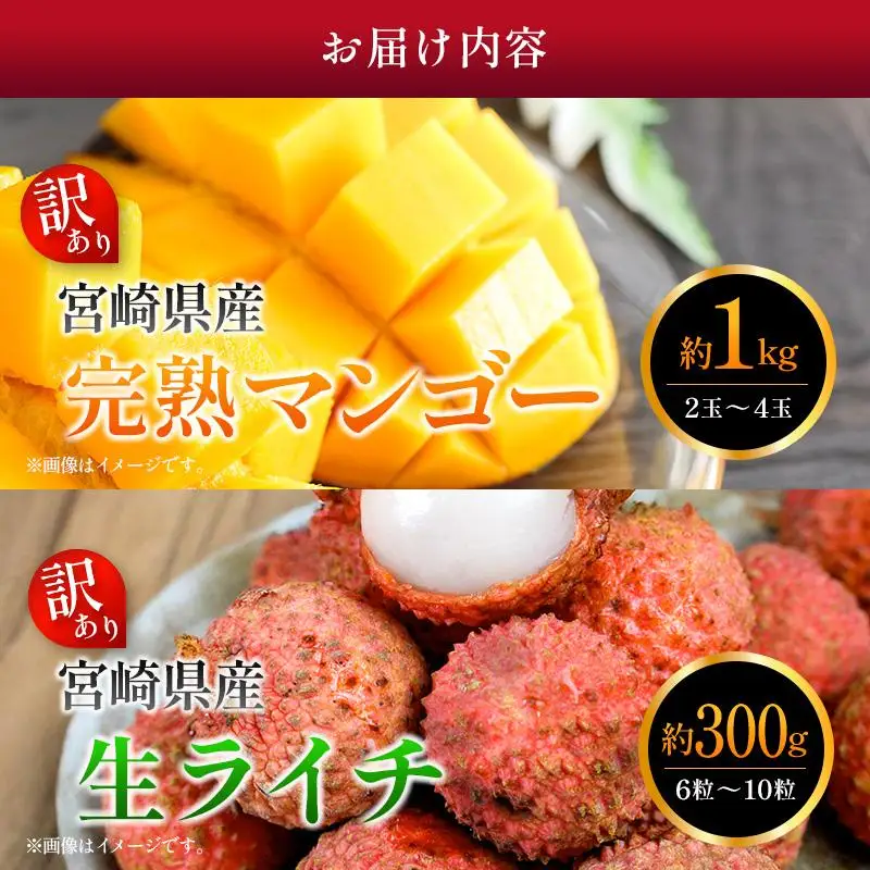 ＜2027年発送＞＜訳あり＞ 完熟 マンゴー 約1kg ＆ 生ライチ 300g 果物 フルーツ 宮崎県産 特産 セット