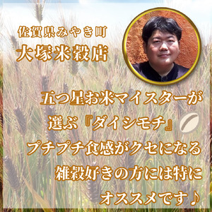 CIB37_【３回定期便】ダイシモチ２ｋｇ もち麦 キラリ もち麦ごはん