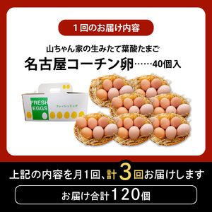 【3ヶ月定期便】【山ちゃん家の生みたて葉酸たまご】名古屋コーチン卵（40個入り）[132Y03-T]