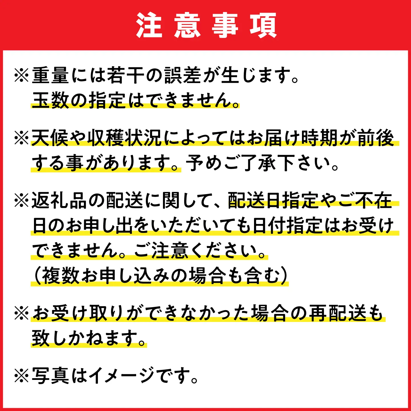 マンゴー 訳あり 約1kg マンゴー 沖縄 BCAN003