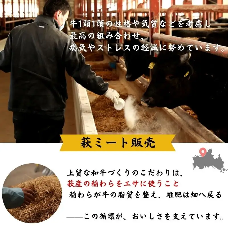 長萩和牛切り落とし　500g　｜HG000186