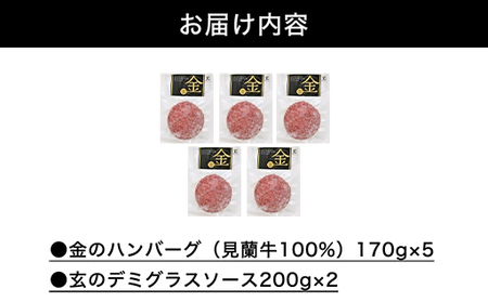 ハンバーグ セット 金 5食 道の駅 萩往還 人気レストラン 玄のハンバーグセット