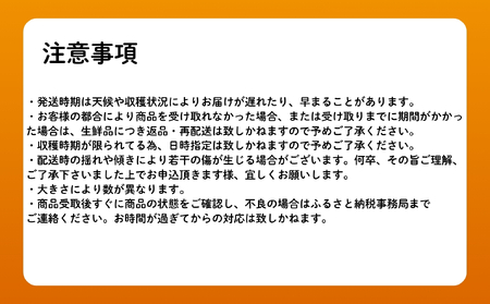 みかん 甘夏 10kg セット 『つぎはぎ農園日記』つぎはぎセット 果物 柑橘 ミカン フルーツ