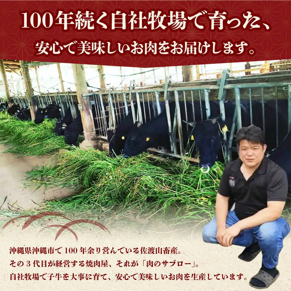 牛肉 ステーキ 【全3回定期便】佐渡山牛 500g 和牛 BCBC005