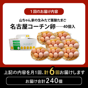 【6ヶ月定期便】【山ちゃん家の生みたて葉酸たまご】名古屋コーチン卵（40個入り）[132Y04-T]