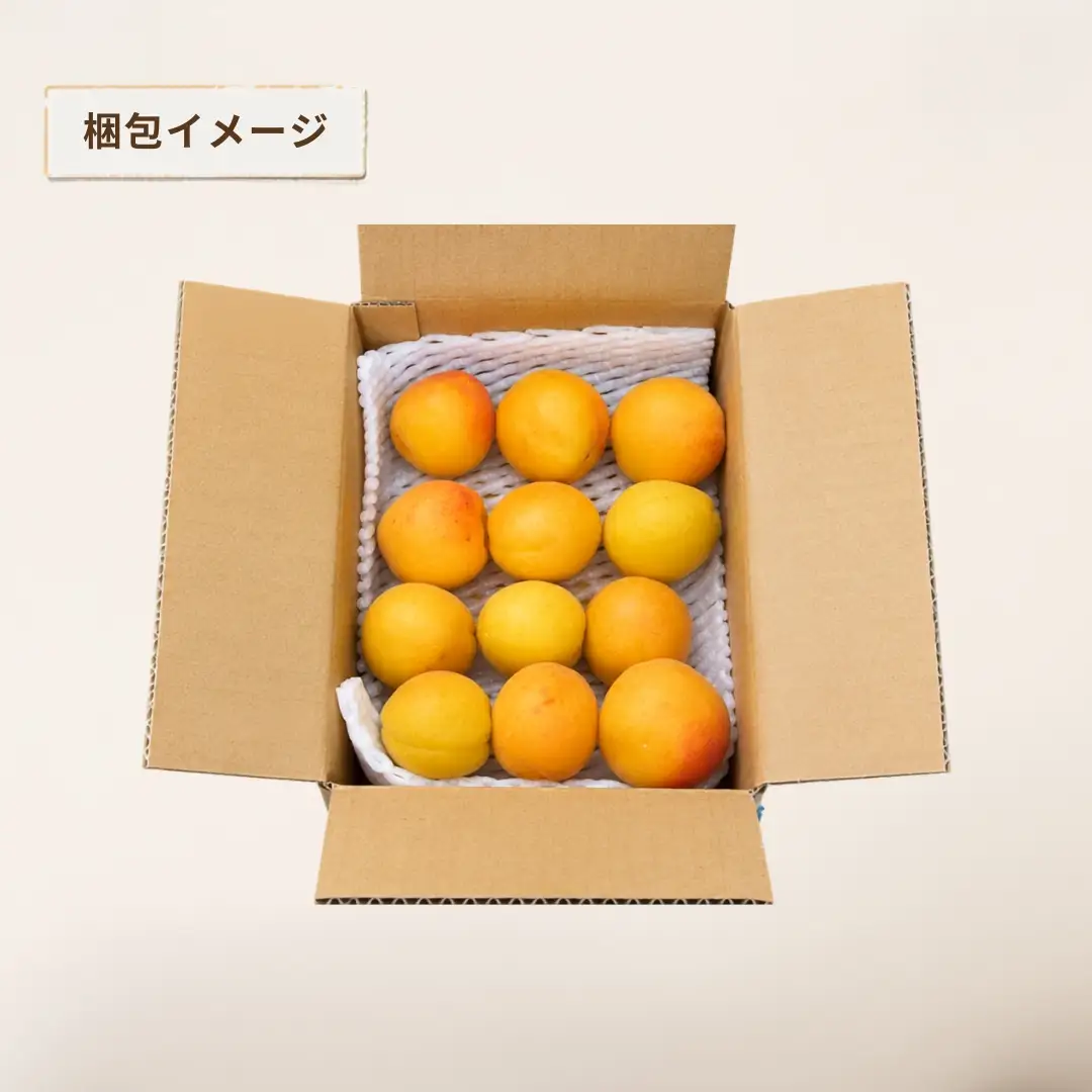 【2027年先行予約】生食用あんずハーコット バラ詰め約2kg| あんず