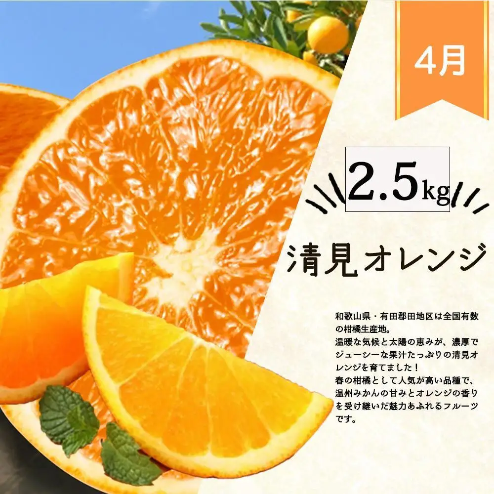 【定期便・指定月（1・2・3・4月）全4回】紀州和歌山産 旬の柑橘 セット (みかん・不知火・せとか・清見) ［UT137w］