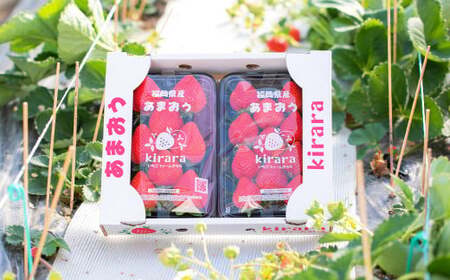 あまおう 約570g 約285g×2パック いちごファームきらら 冷蔵【ふくおかエコ農産物認証】【2027年2月上旬-3月下旬発送予定】