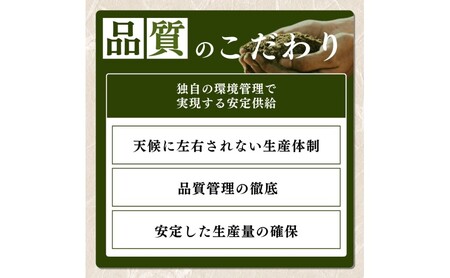 【令和8年10月配送】新米予約 コシヒカリ 5kg コシヒカリ 新潟県