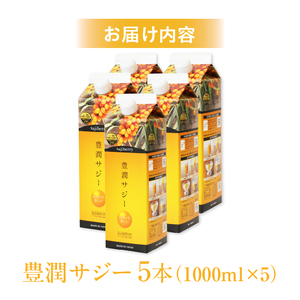ジュース サジー ジュース[1000ml 5本 紙パック]
