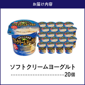 愛知ヨーク ソフトクリームヨーグルト 20個入 [108A07]