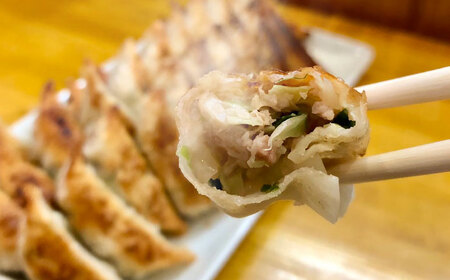 【3パック】餃子屋ヒロの がっつりにんにく餃子 ぎょうざ [BDAS004-2]