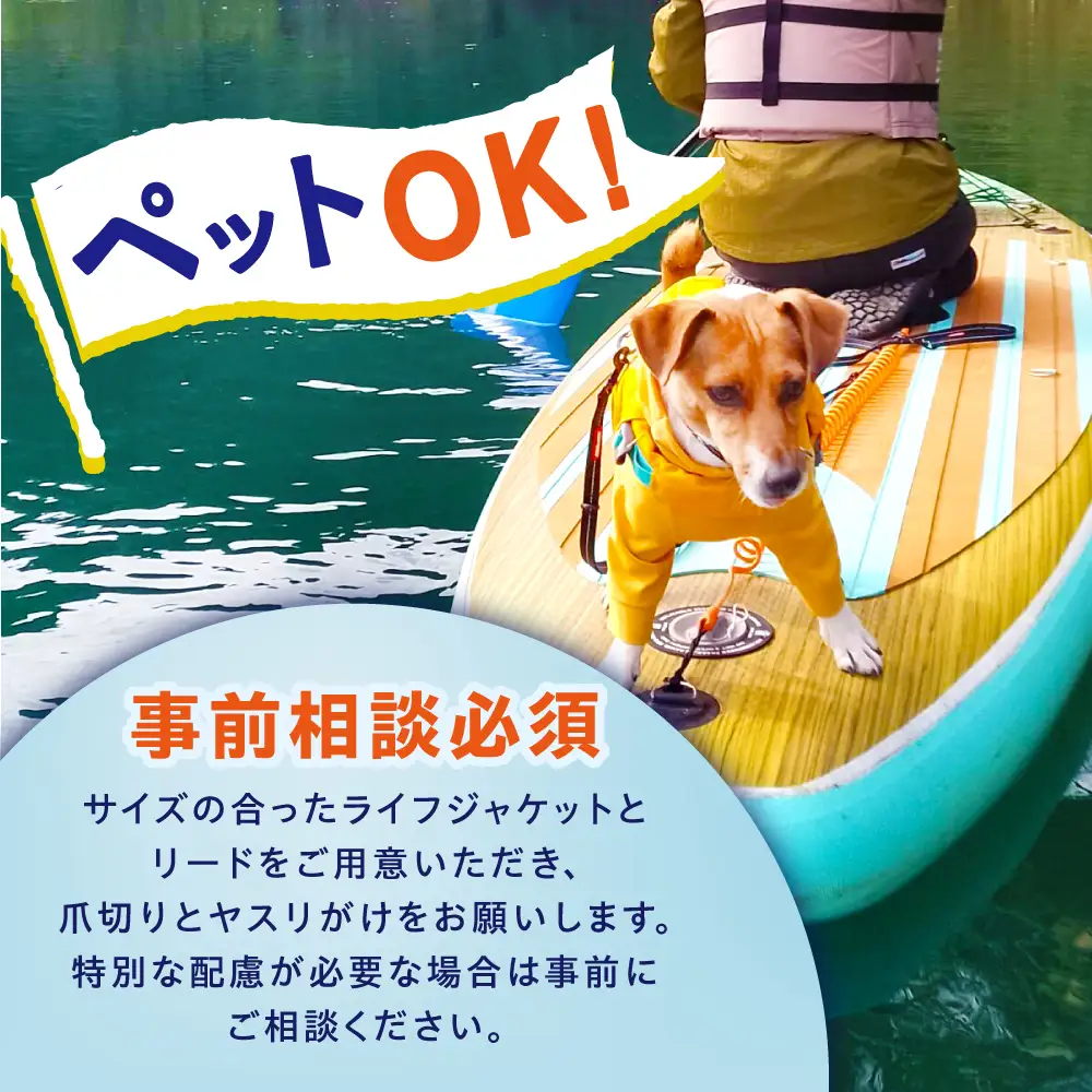サップツアー まだ誰も知らない恵那で癒しと感動体験（1名様分利用券 ） / 恵那市 / エナベース [AUFT001]