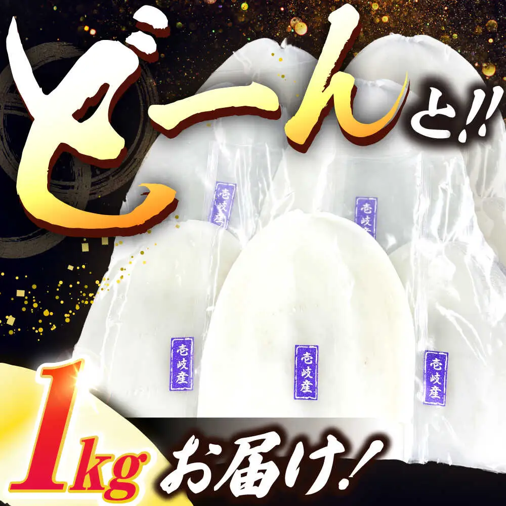 アオリイカ（刺身用） 1kg [JCC020] イカ