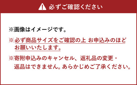 Opposite（B） 椅子 イス チェア ソファー 家具