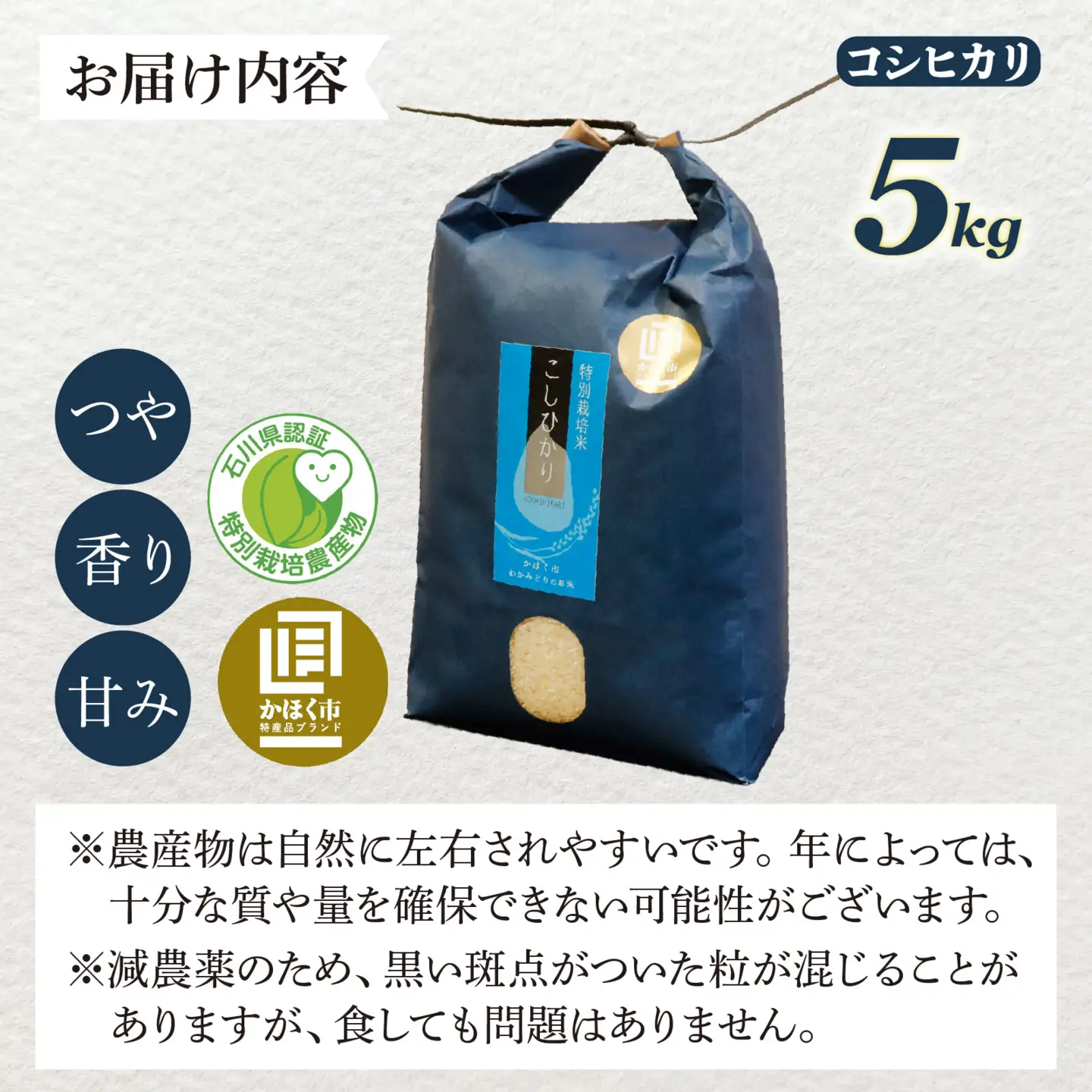 【先行予約】こしひかり 5kg【2026年12月発送】｜ コシヒカリ お米