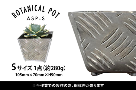 植木鉢 BOTANICAL POT ASP-S 1点 