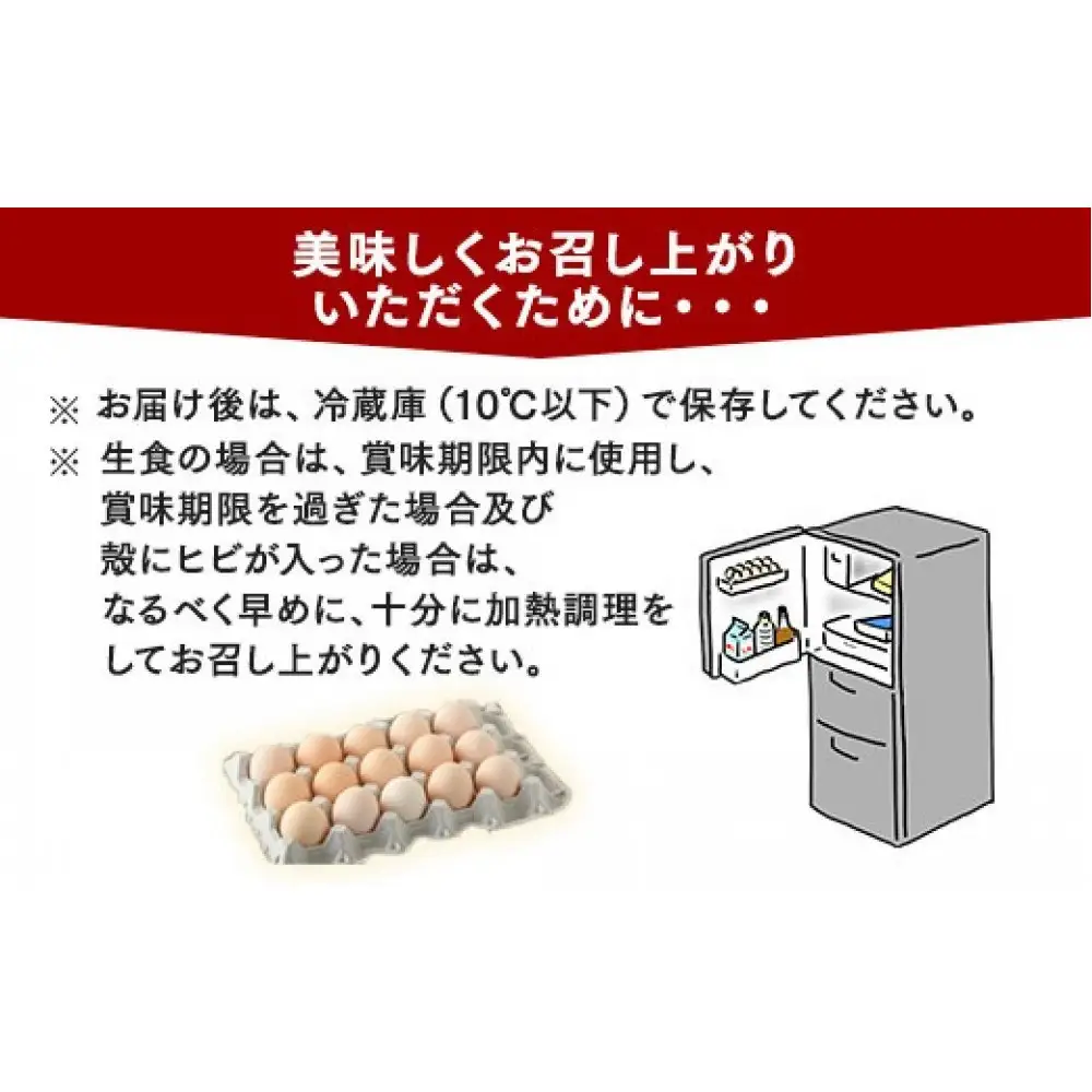 【12ヶ月定期便】【毎月後半発送】相模原市田名のおがわのたまご　ピンク卵　Mサイズ 30個(27個＋割れ補償3個)×12か月   国産 濃厚 コク 旨味｜たまご