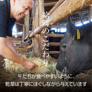 牛肉 京都もり牛 こま切れ 800g 小分け 京都府産 牛肉